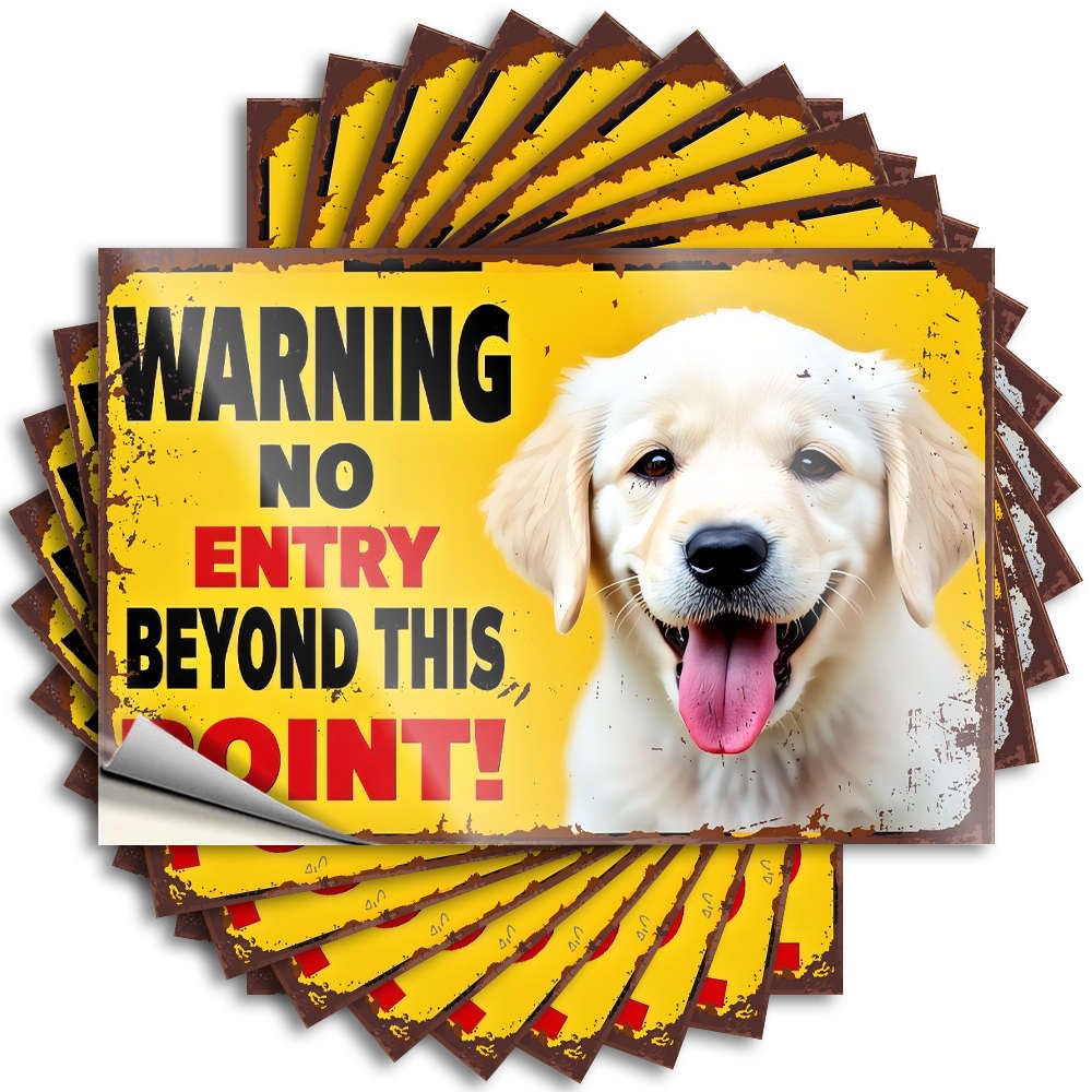 Feminist Stickers Aesthetic Decals, Decor Cute Pattern Design for Man Notebook | Window Removable Vinyl No Entry - Keep Out Beyond This Point!(8X12CM)
