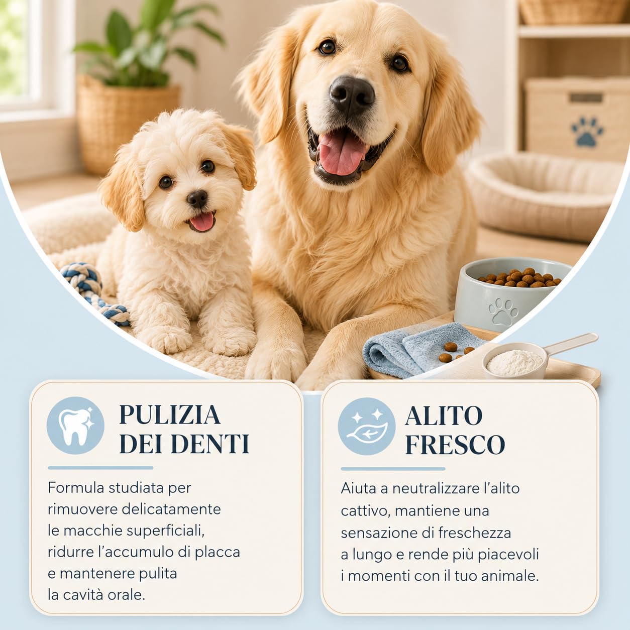 Dental Bright Polvere Cani Alito Fresco Pulizia Denti 1 Bottiglia