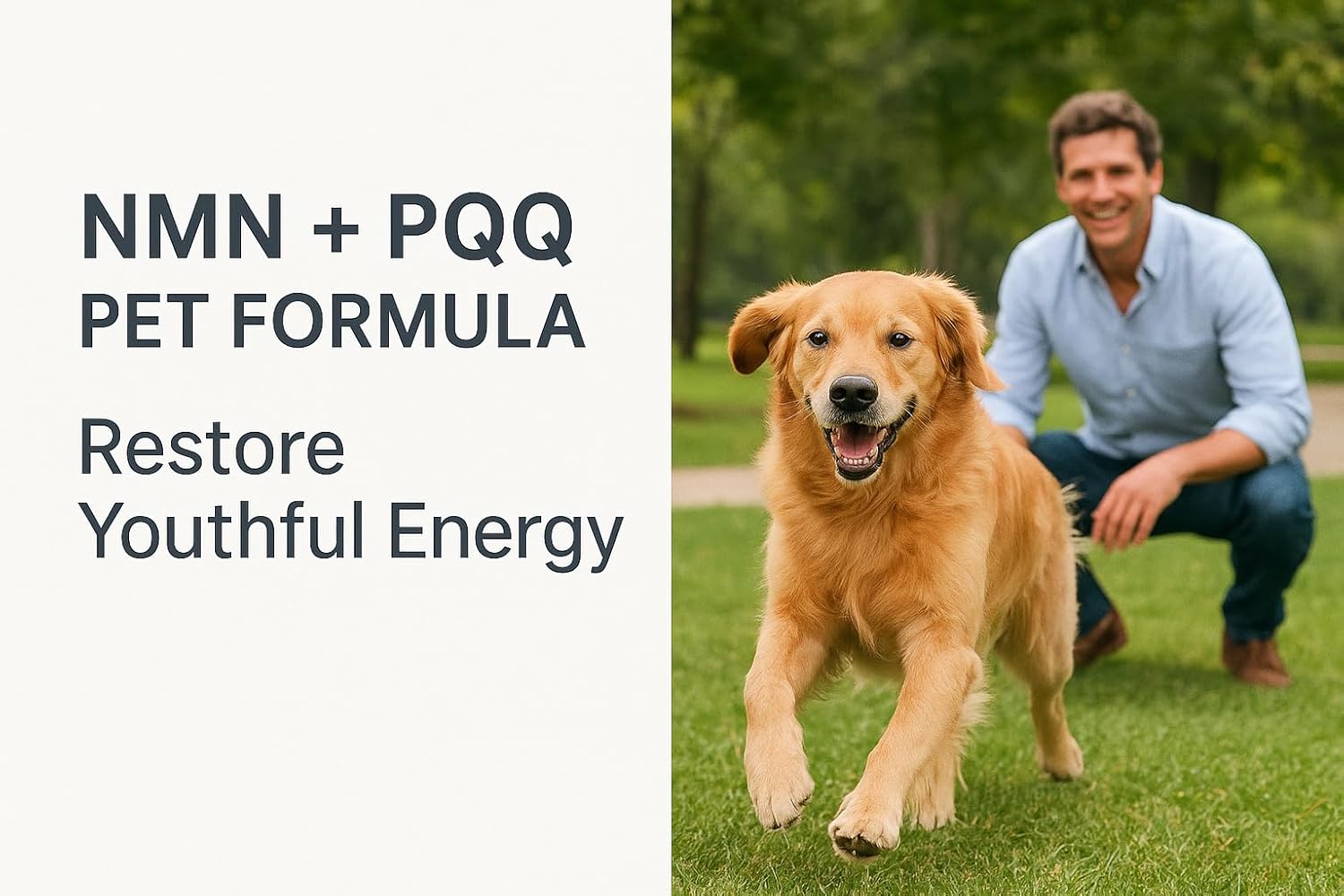 Pet Life Extension Cell Nutrient Comprehensive Version NMN