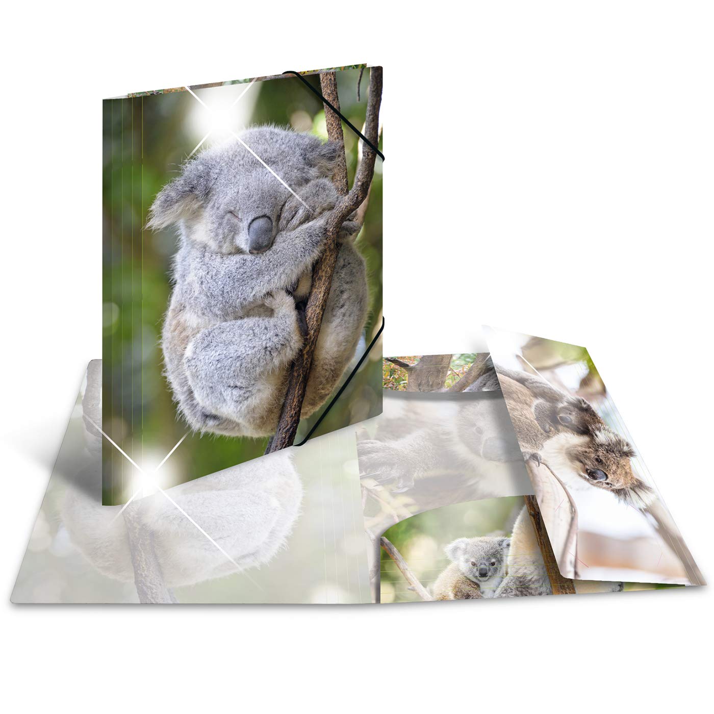 HERMA 19323 Collector's Folders A4 Animals Koala, Pack of 3, Children's Corner Folder Made of Plastic with High-Gloss Look, Inner Print & Elastic Band, Sturdy Plastic Folders Set for Boys and Girls