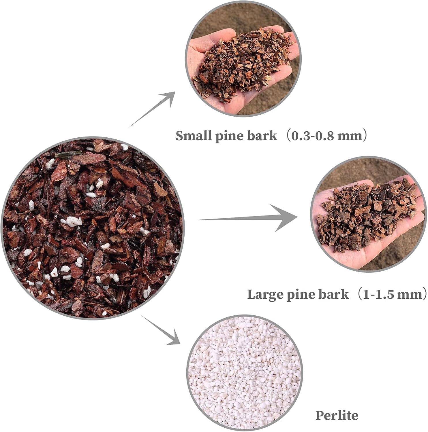 Orchid Bark & Soil Potting Mix Organic Pine Bark & Perlite for Plants Optimal Drainage, Aeration & Root Development for Phalaenopsis, Cattleyas, Dendrobiums & More (2ltr) - Image 4