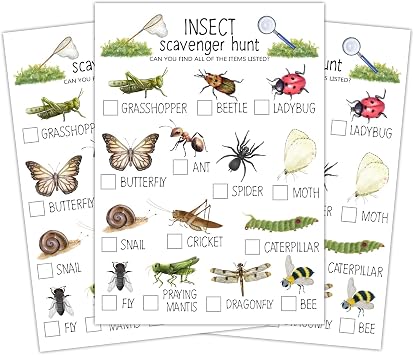 Insect Scavenger Hunt Cards Set of 30 Pcs, Nature Treasure Hunt Game for Family Friends, Outdoor Holiday Party Game Find and Seek Camping Activity -03