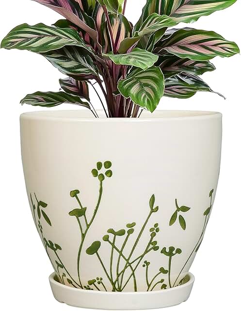 Ceramic Plant Pot 6.8 Inch - Indoor Flower Pot with Drainage Hole and Sa...