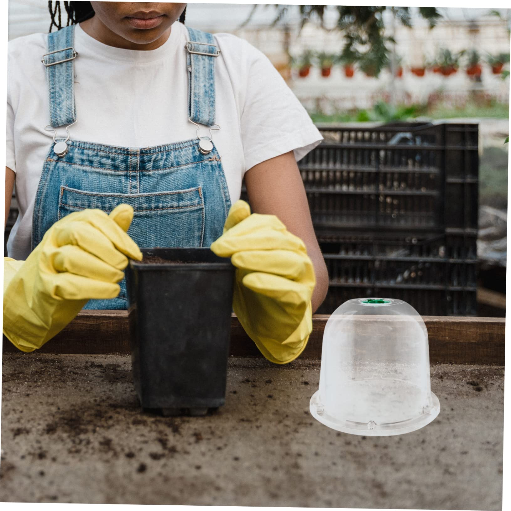 Toddmomy 5piezas Cubiertas Protectoras para Plantas Cúpulas De Jardín Kits De Accesorios De Jardín