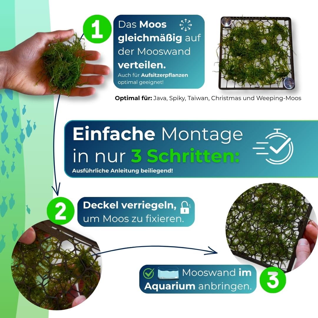 Generisch Mooswand XL 35x33 cm für Aquarium Rückwand-Gitter zum Begrünen - Slim Design mit Magnet - für Moos & Aufsitzerpflanzen - Aquarium Pflanzen Zubehör