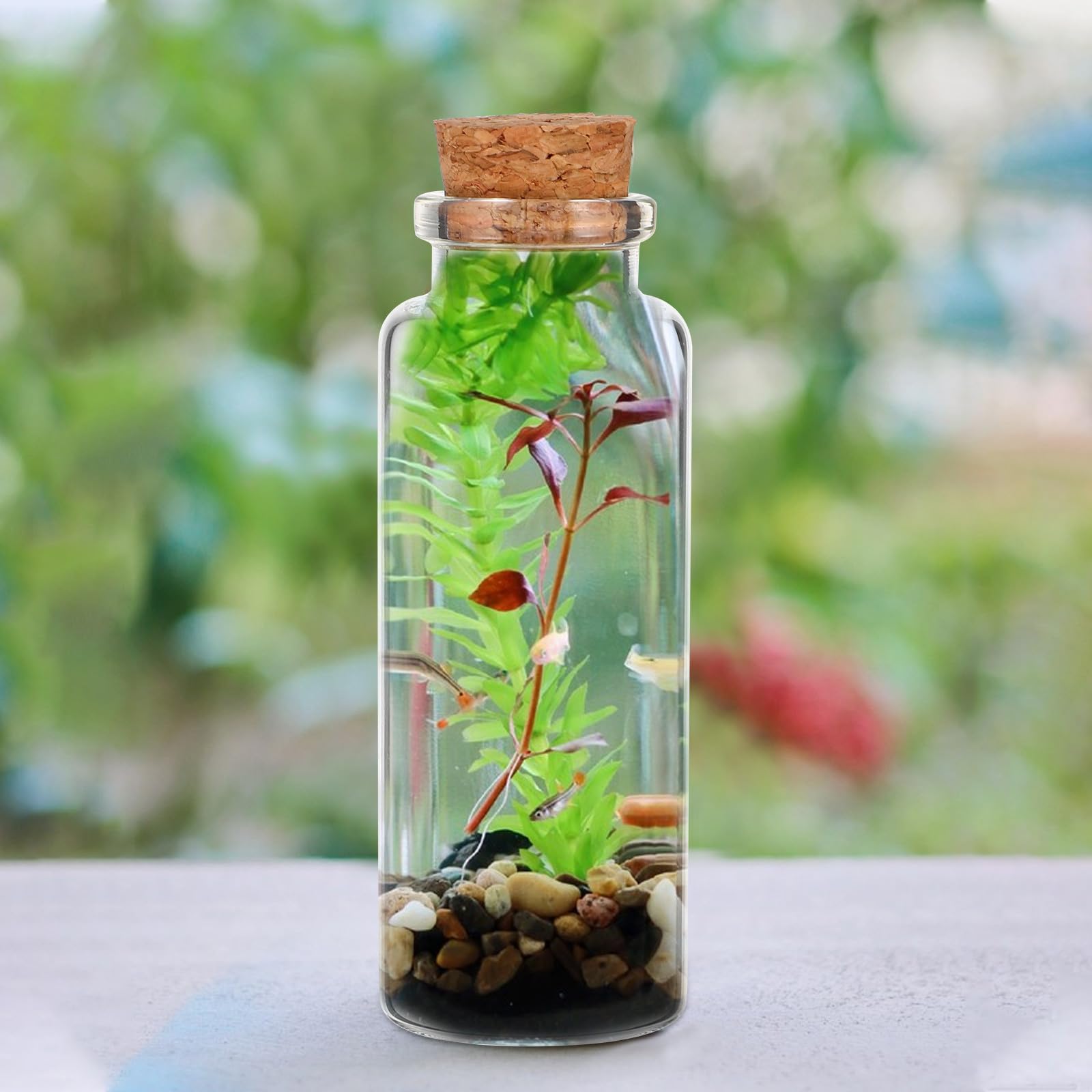 50pezzi Bottiglie di Vetro Mini Tappo Sughero Morbido Barattoli Trasparenti Piccoli per Messaggi di Auguri e Bomboniere Decorative per Artigianato e Decorazioni Casa Ufficio