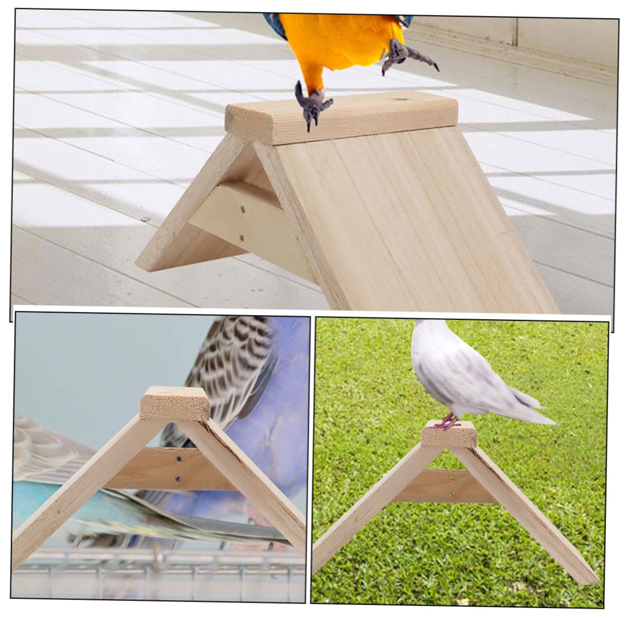 Percha de Madera para Aves y Gallinas, 5 Piezas Color Caqui | Juego para Aves, Superficie Masticable, Accesorio de Parque, Diseño Compacto para Jaula