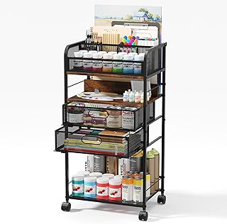 Art cart, 5 Tier Rolling Cart - Utility Cart with Storage Drawer and Whe...