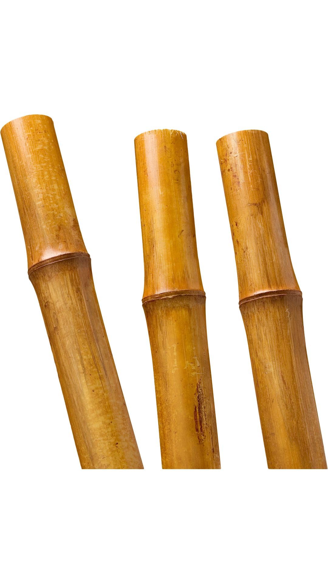 Jens Poppe Handelsvertretungen 5 Stck Bambus - Stangen 200cm lang 8-10 cm  Durchmesser : Amazon.de: Garten