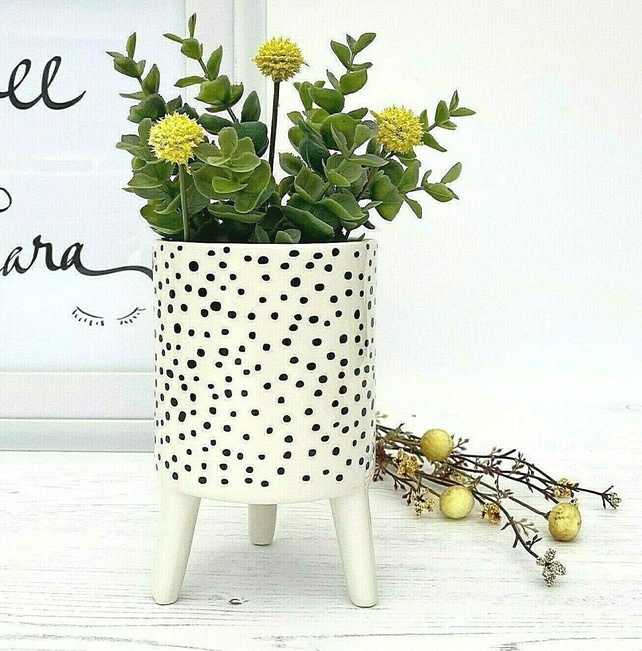 Indoor Plant Pot On Legs Polka Dot Ceramic Plant Pot For Aesthetic