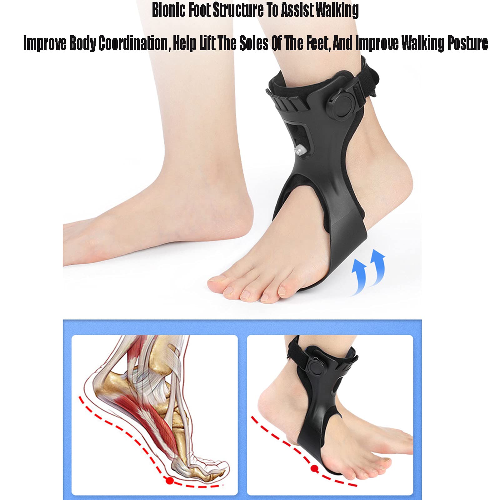 Ortesis de caída del pie Soporte para el pie con caída Tobillera Férula de Tobillo para esguinces, tendinitis, A/Right, XL