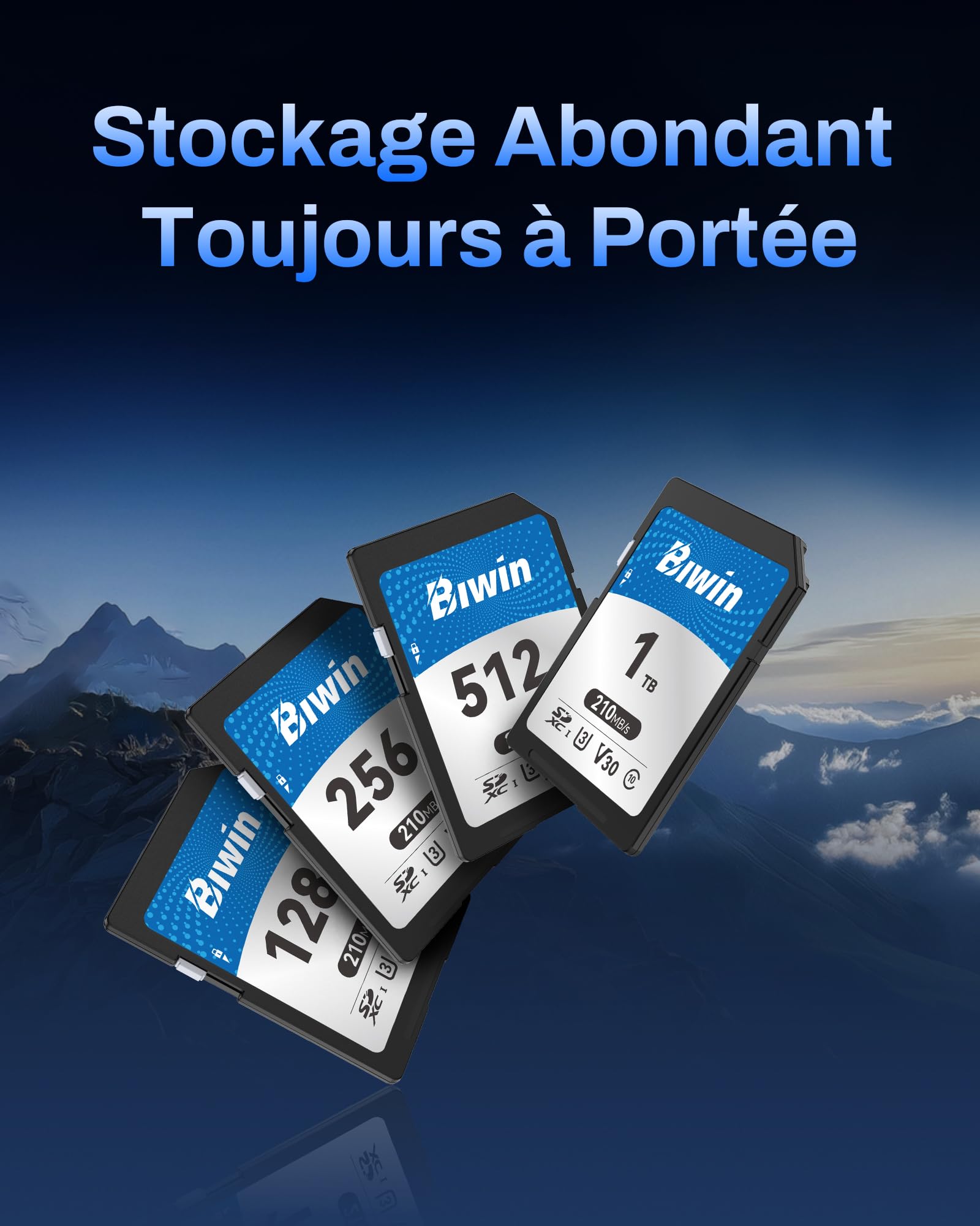 Carte SD Biwin SD210, 512 Go, SDXC V30 UHS-I, Classe 10, jusqu'à 210 Mo/s en Lecture. Robuste, Compatible 4K UHD. Idéale pour créateurs.