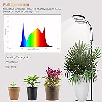 Vista 2 de GLOWRIUM Grow Lights for Indoor Plants, Full Spectrum LED Grow Light Floor Lamp with Stand Adjustable Height and Angle, Black Plant Light with Negro