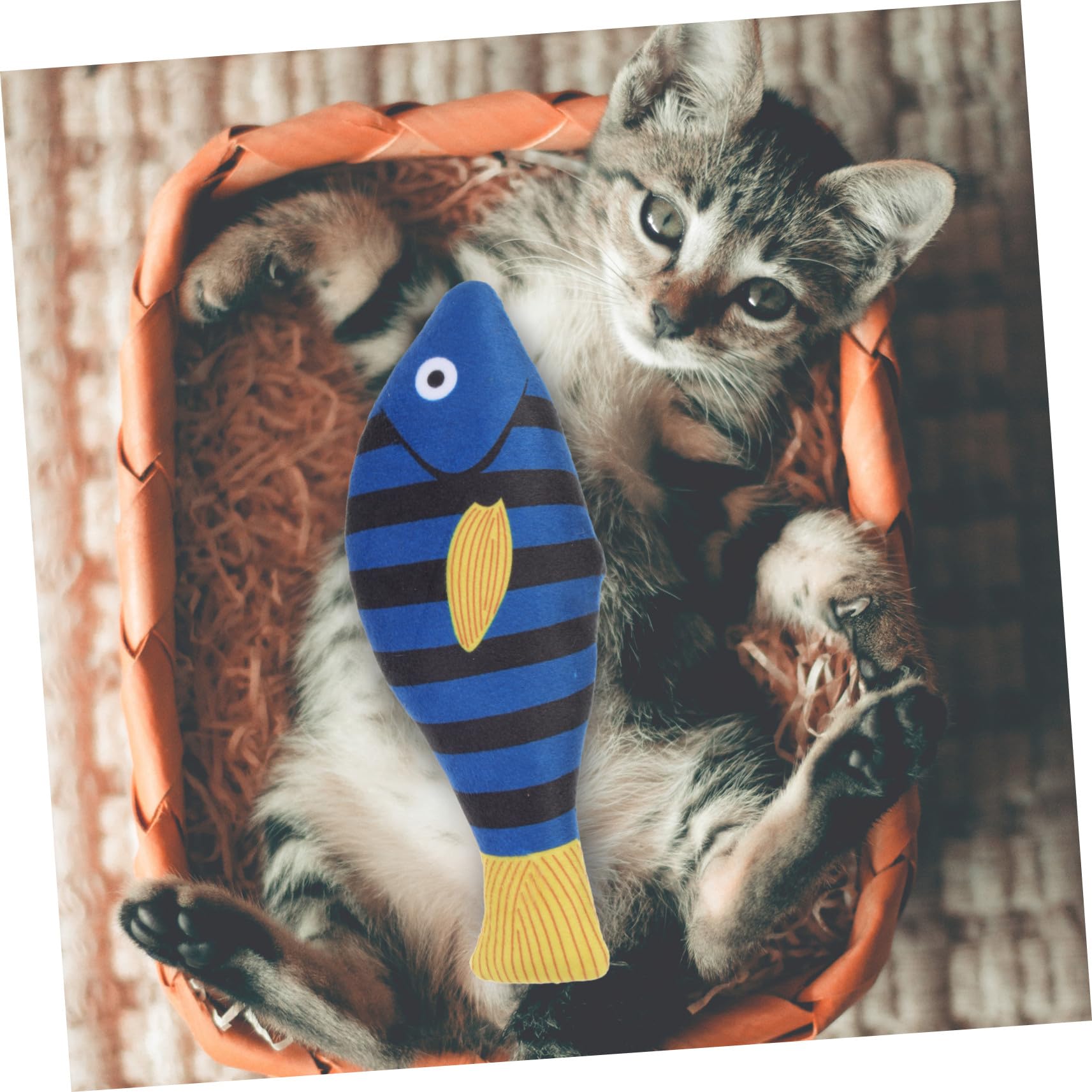 ifundom Jouet de Poisson à Mâcher pour Chat Herbe à Chat Naturelle Peluche Douce Taille Moyenne Intérieur Chatons Adultes