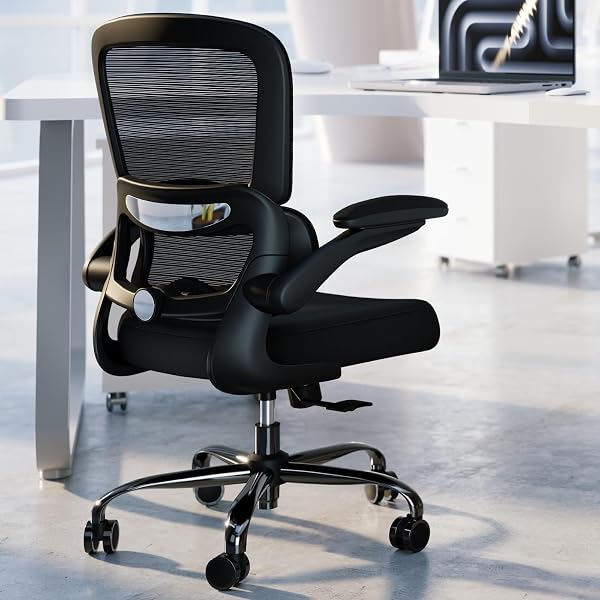 TRALT Ergonomic Office Chair in black with mesh backrest and adjustable lumbar support pillow