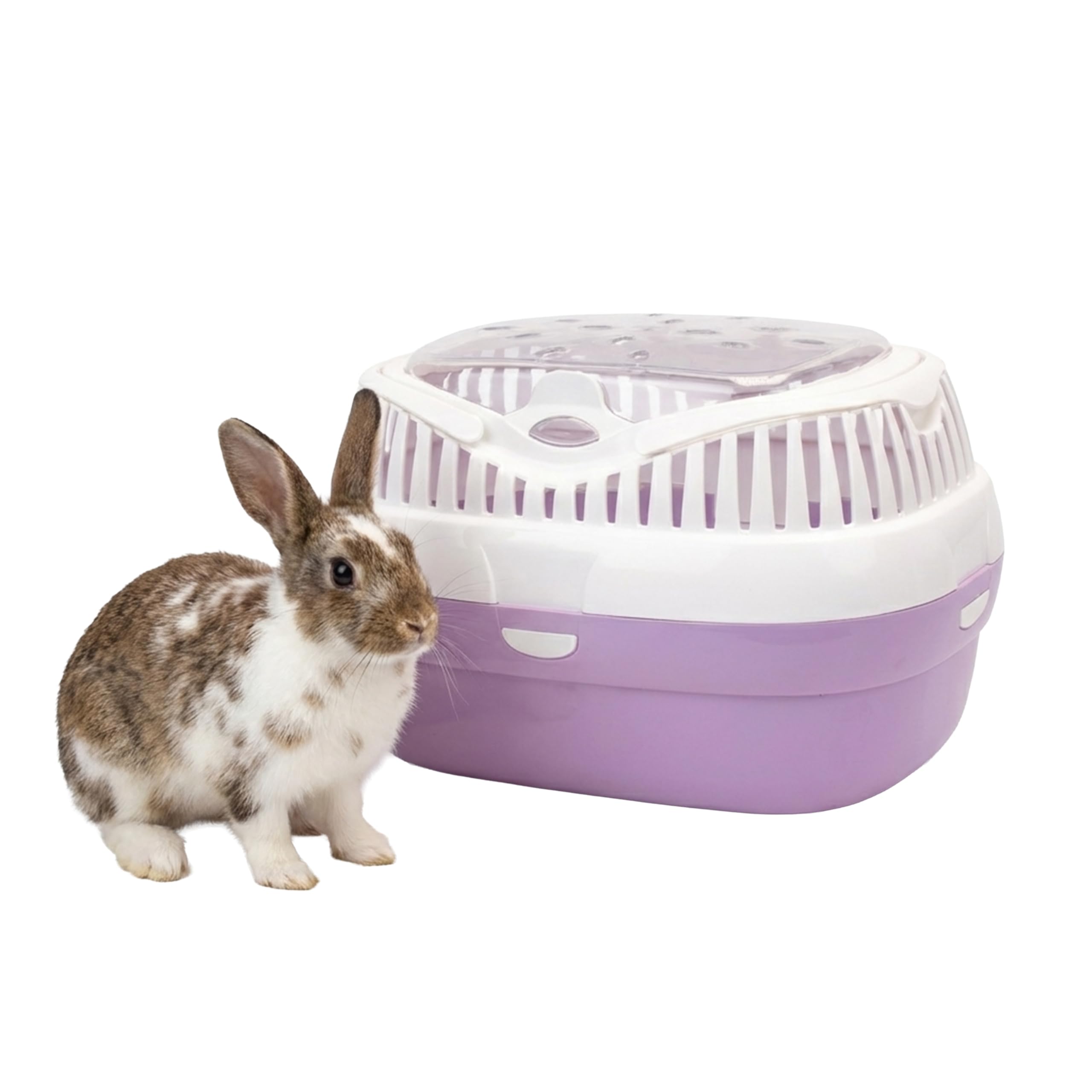 Ferplast Trasportín para Conejos, Conejillos de Indias y Ratones ALADINO Large Jaula de Viaje para roedores y Conejos, Plástico, Rejillas de ventilación, Cómoda asa, 36 x 26 x h 23 cm Fucsia