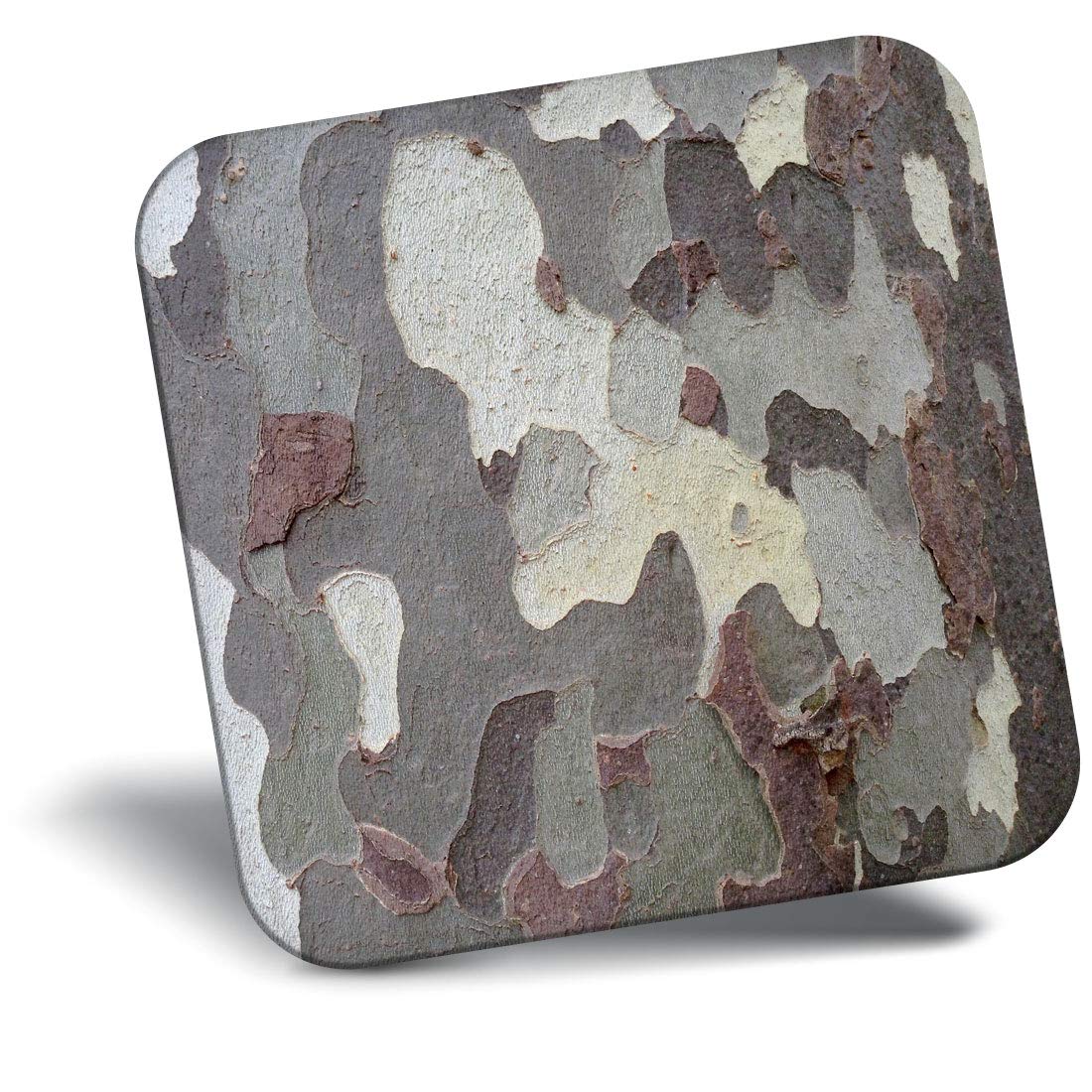 Destination Vinyl ltd Fridge Magnet - London Plane Tree Bark Nature 2197