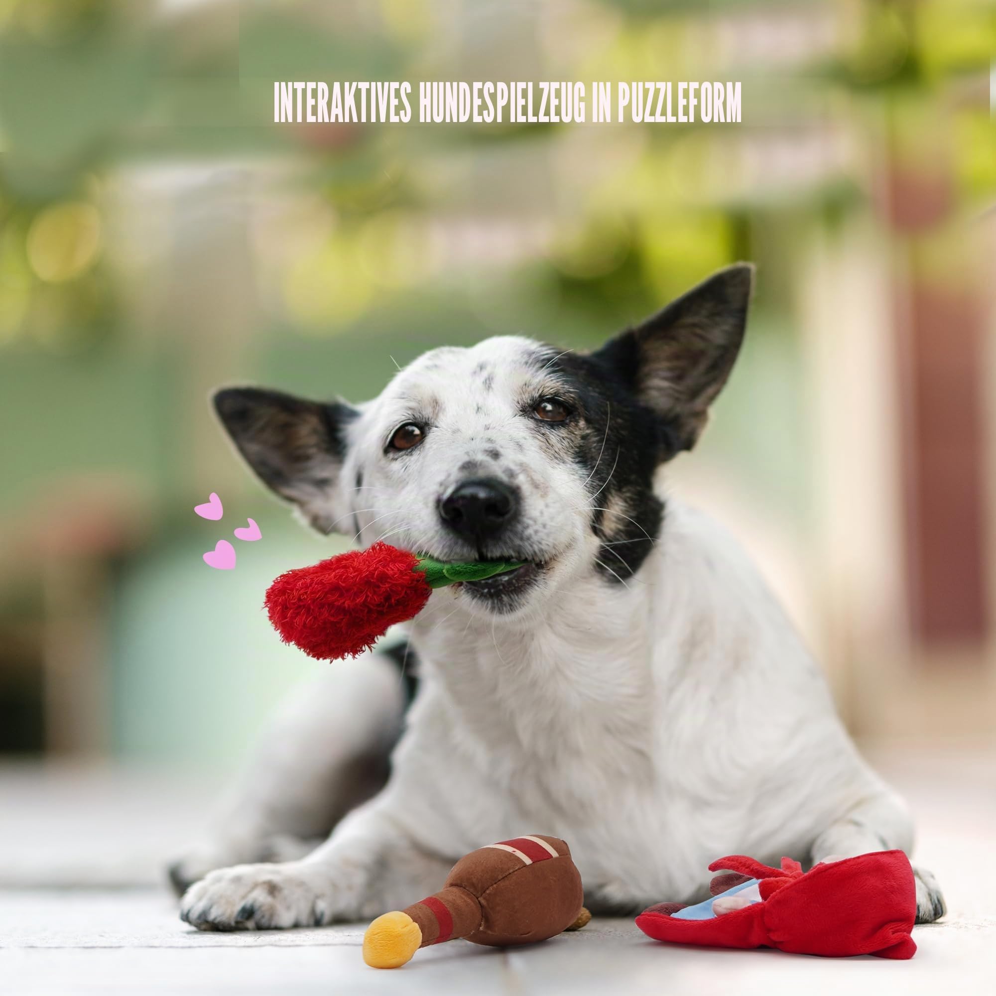 Nocciola Verstecken und Suchen Quietschendes Hundespielzeug, 6-in-1 Interaktives Welpenspielzeug, Puzzle Spielzeug um Hunde zu Beschäftigen, Plüsch-Kuscheltier für Kleine und Mittelgroße, Märchen