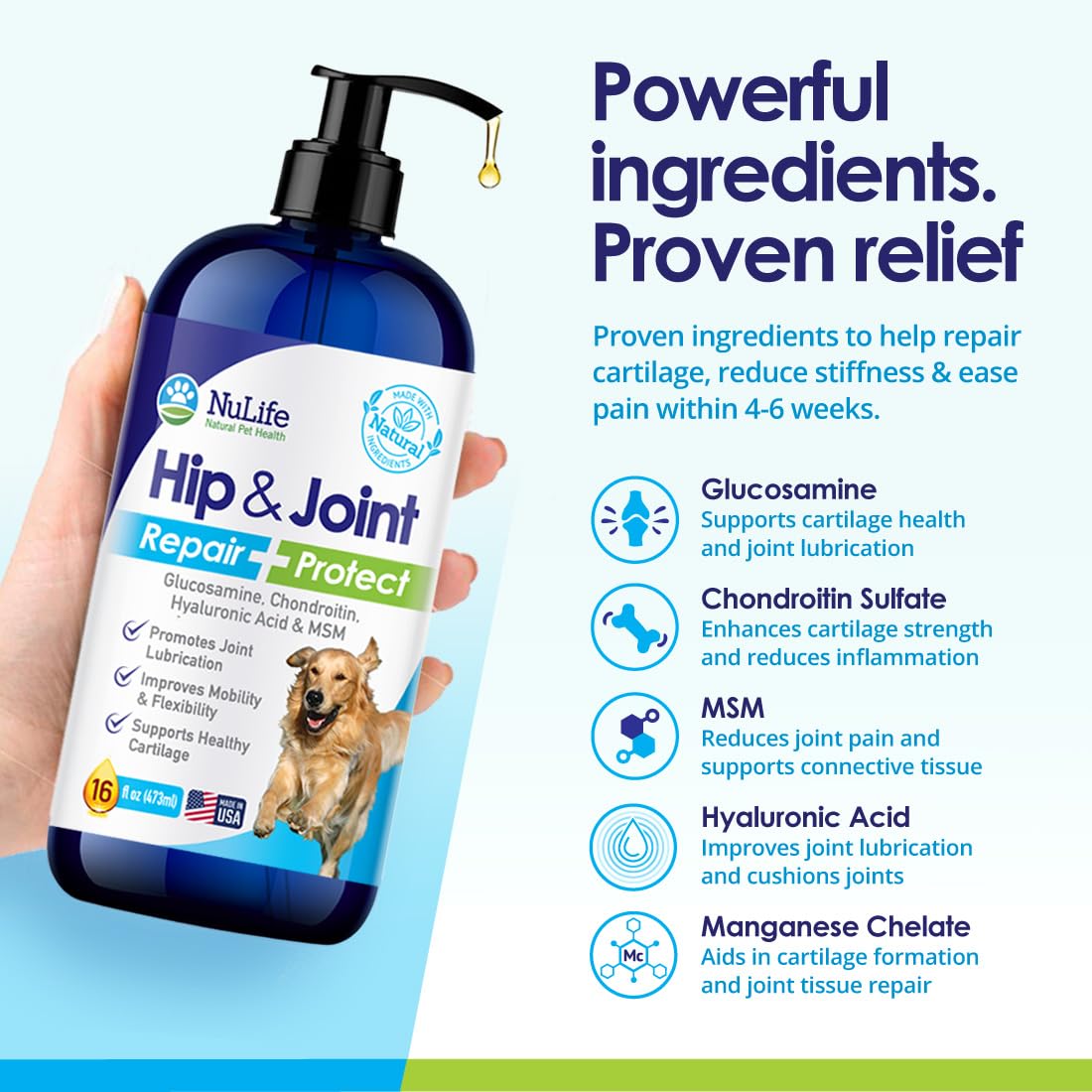 Liquid Glucosamine for Dogs - Advanced Joint Supplement for Dogs Ages with Chondroitin, MSM & Hyaluronic Acid - Repairs & Protects Joints, Supports Mobility & Pain Relief - 16oz