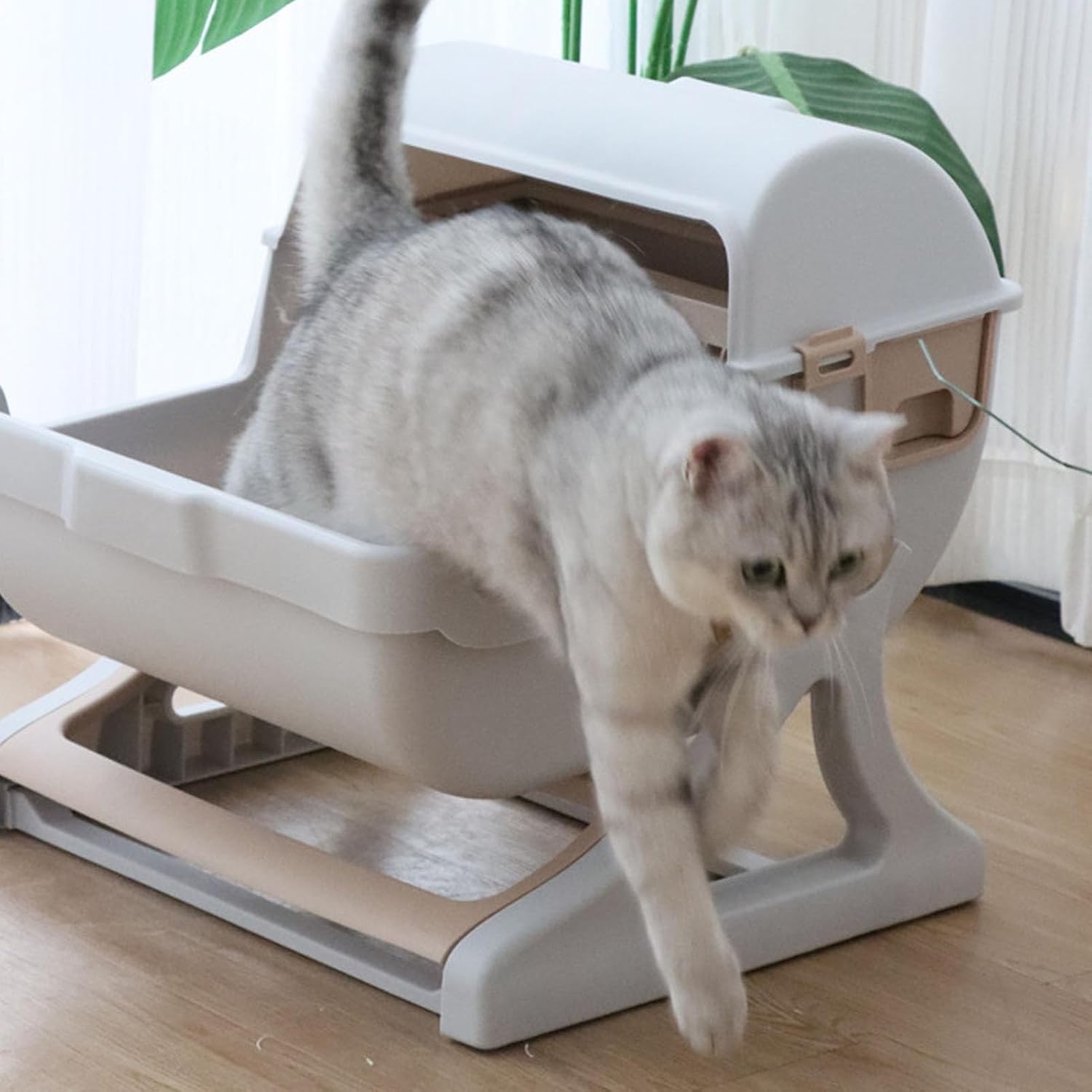 Self Cleaning Litter Box, Spacious Design Odor Control Semi Automatic Litter Box, Large Litter Box | Easy Clean Litter Box | Kitten Litter Box | Self Cleaning Litterbox for Cat