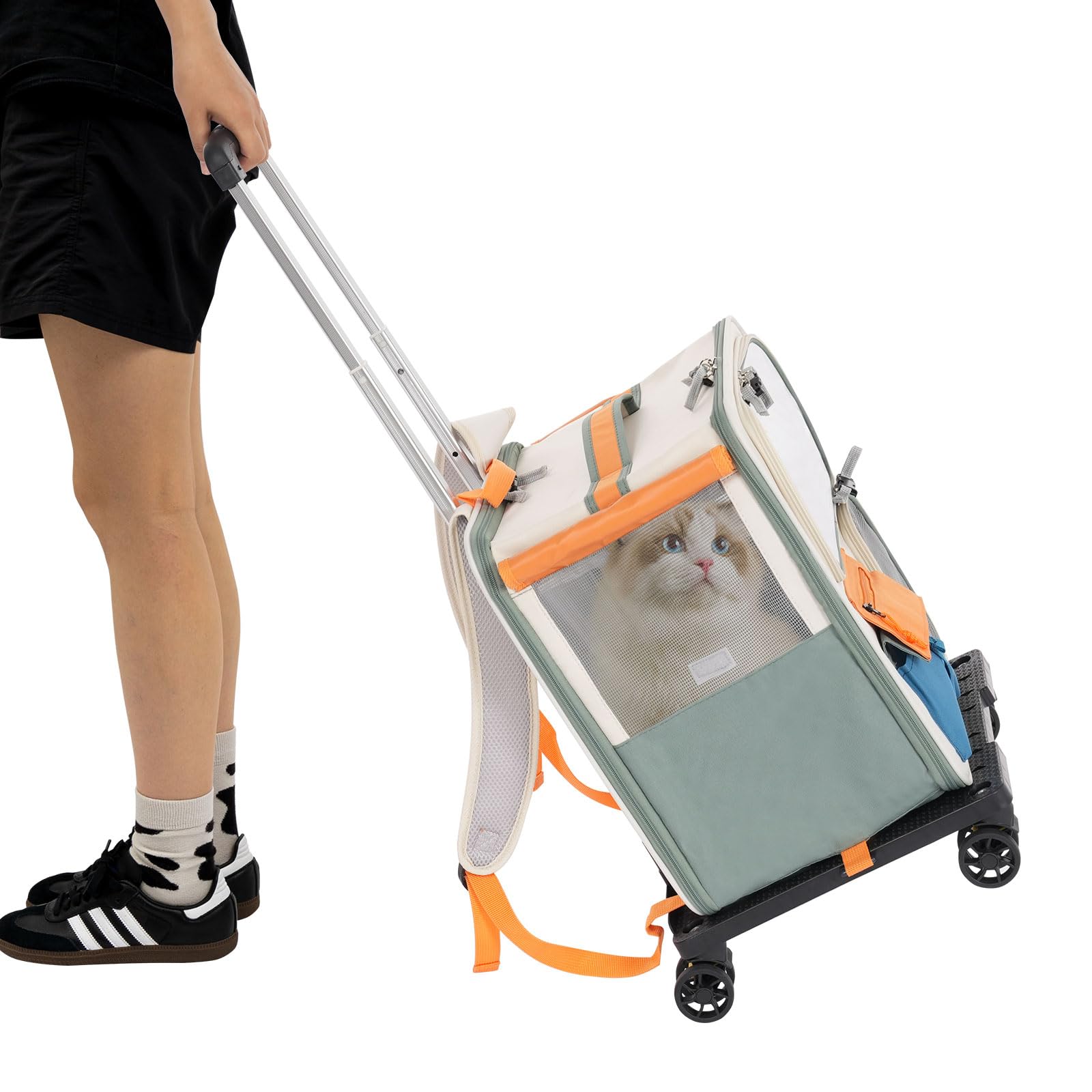 Haustier Transporttasche mit Rollen 37*27*42cm Tiertransport Rucksack Tragfähigkeit 12.5kg Katzen Transporttasche herausnehmbare Trennung Transportbox für Haustiere Hunderucksack Katzenrucksack