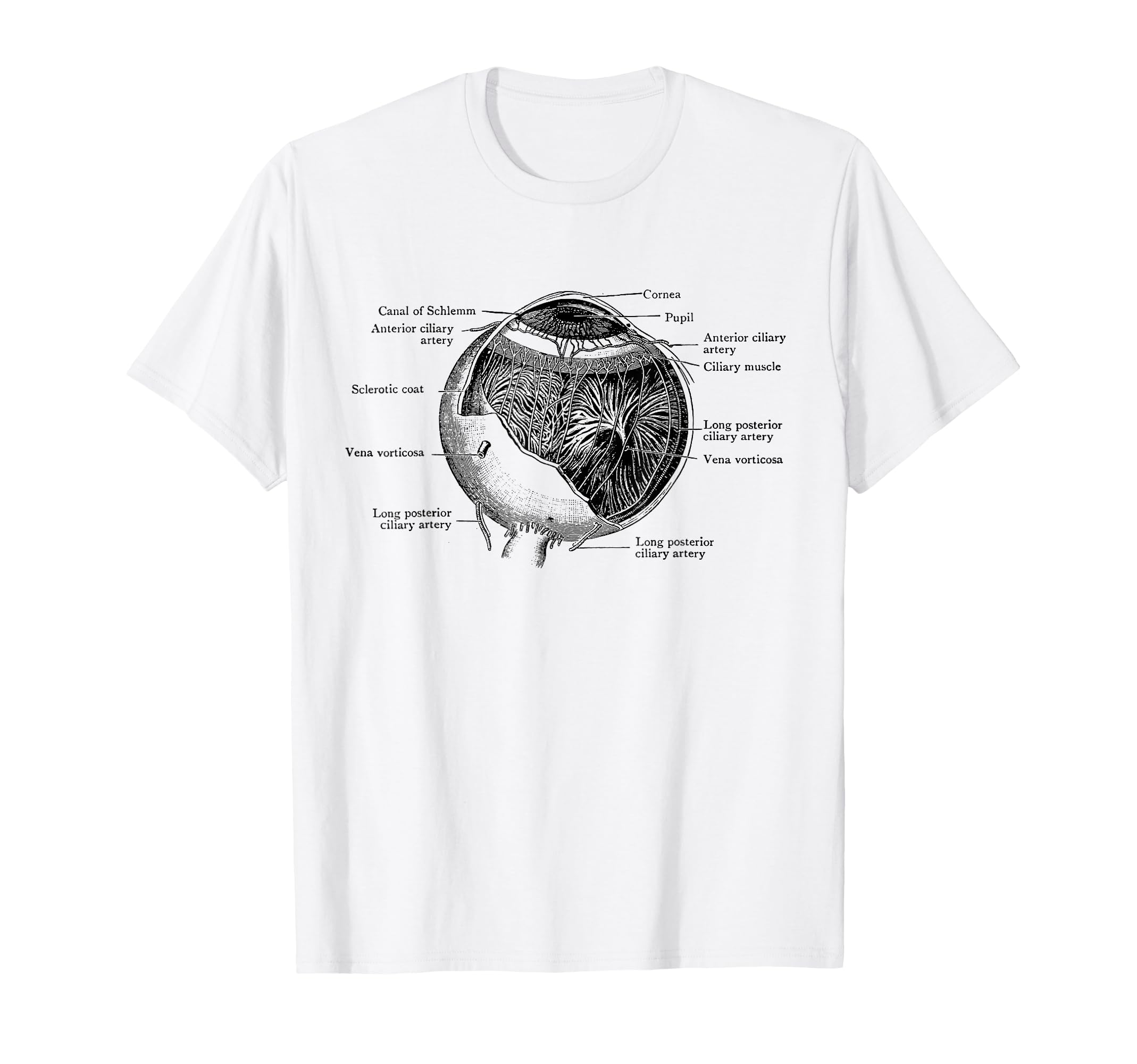 中*翔様 スケルトン 骨 解剖 ヴィンテージ Tシャツ 90s 骸骨 Tシャツ - Side Car Charlie