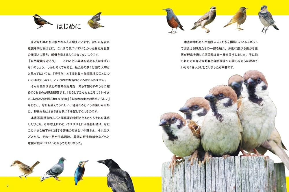 さとるぽんさん専用 スエオキ用品(NX/N1/ZXシリーズ)(SM共通)｜テルワールド（NTT中古