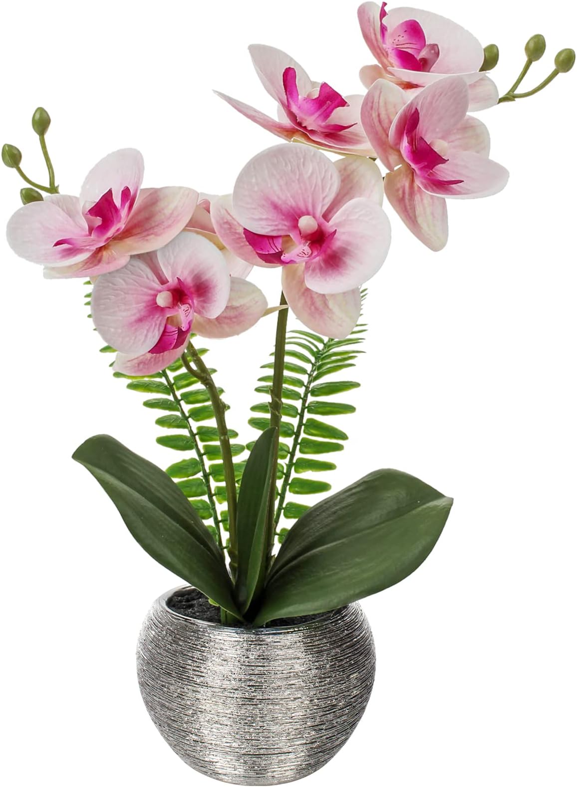 FagusHome Künstliche Orchideen 80cm - 6 Stück Phalaenopsis Mit Blättern Für Heimdekoration