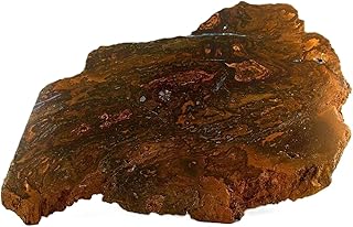 525 Gram Austrailian Opal Seam Wood Pattern Ironstone Cab Specimen Rough US34A