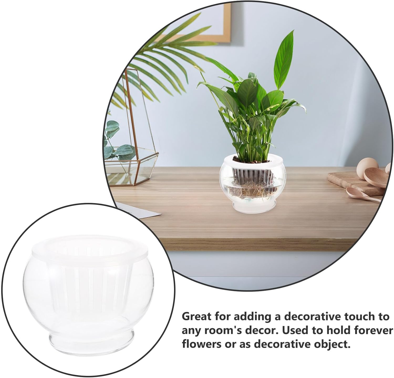 LIFKOME 2pcs Glass Hydroponics Flower Vase for Desktop Decor Plant Holder for Home Office Hotel Creative Indoor Fish Tank Ornament
