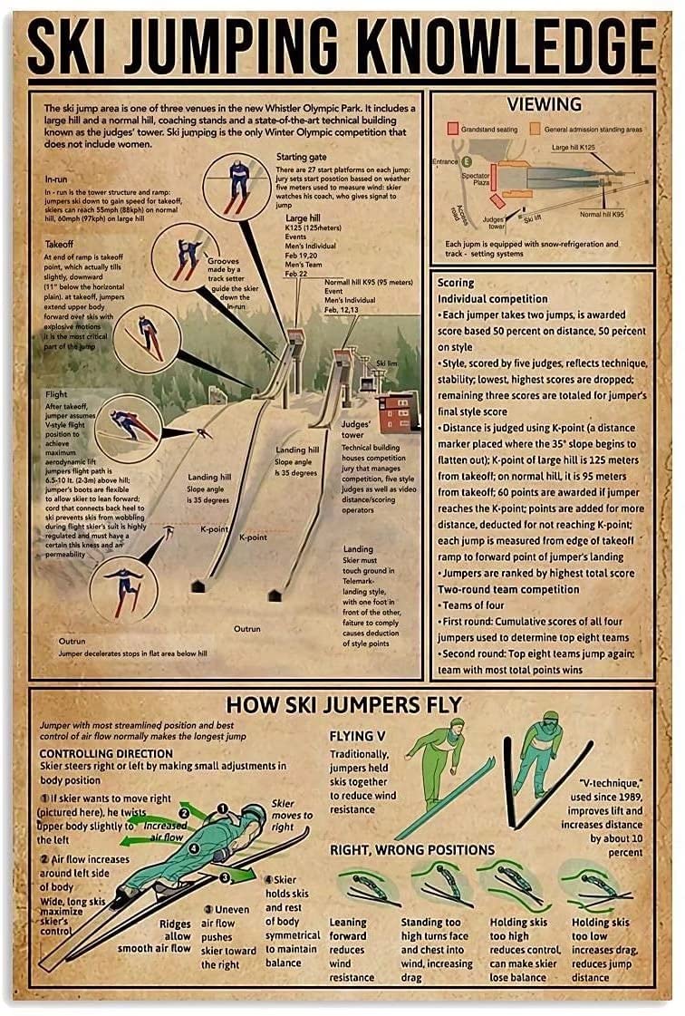 Tin Sign Ski Jumping Knowledge Nostalgic Tin Signs Funny Poster Art Wall Decor for Pub Bar Vintage Wall Stickers 8x12 Inch