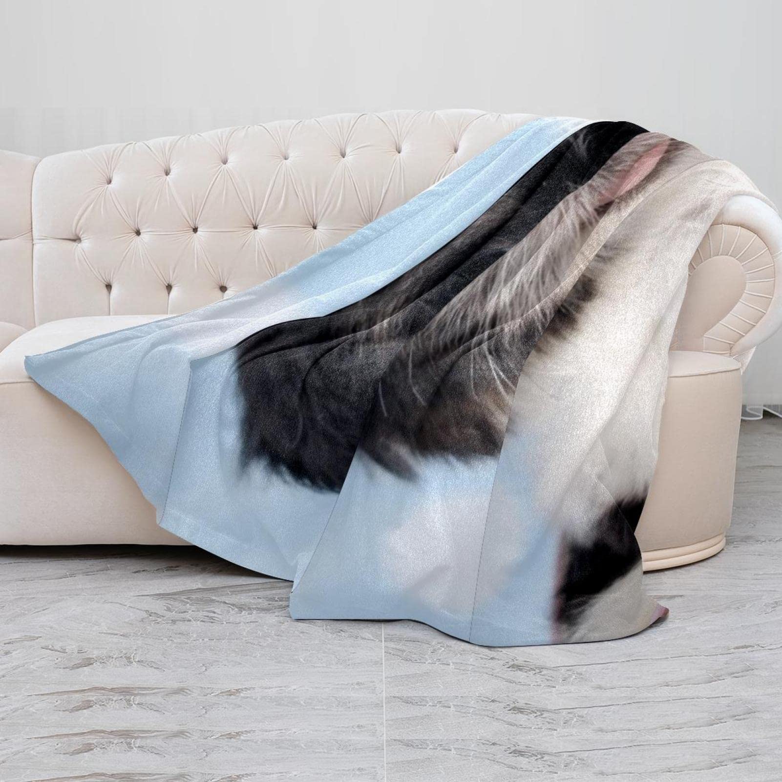 Couverture polaire super douce pour chien Shih Tzu Chiot