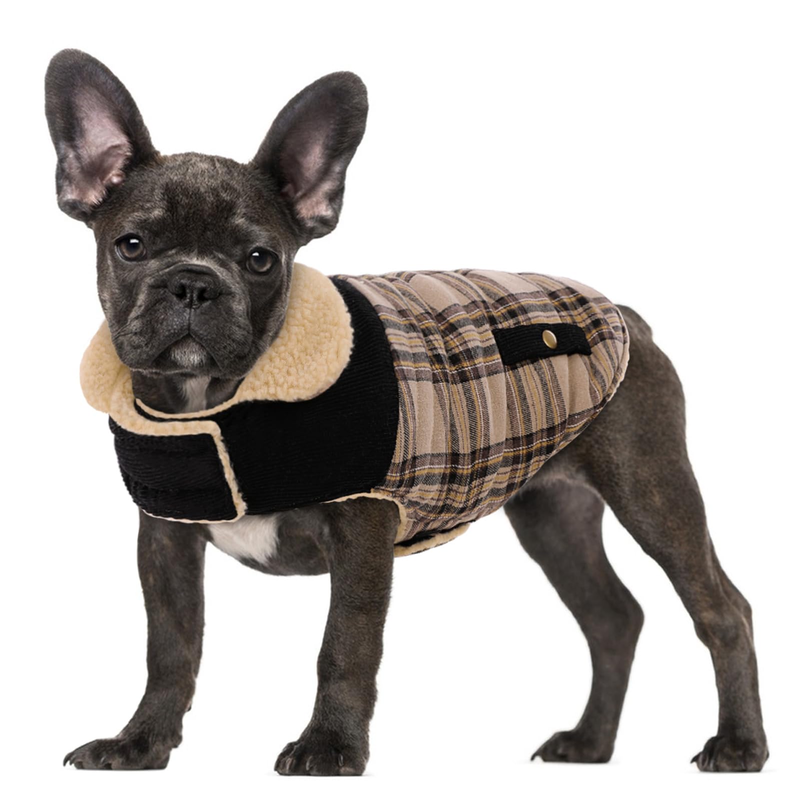 Large Dog Winter Jacket, Pet Warm Windproof Coat Dogs Cold Weather Coats Snow Coat Pets Clothes, Golden Retriever, Labrador Retriever, Husky, Beige L