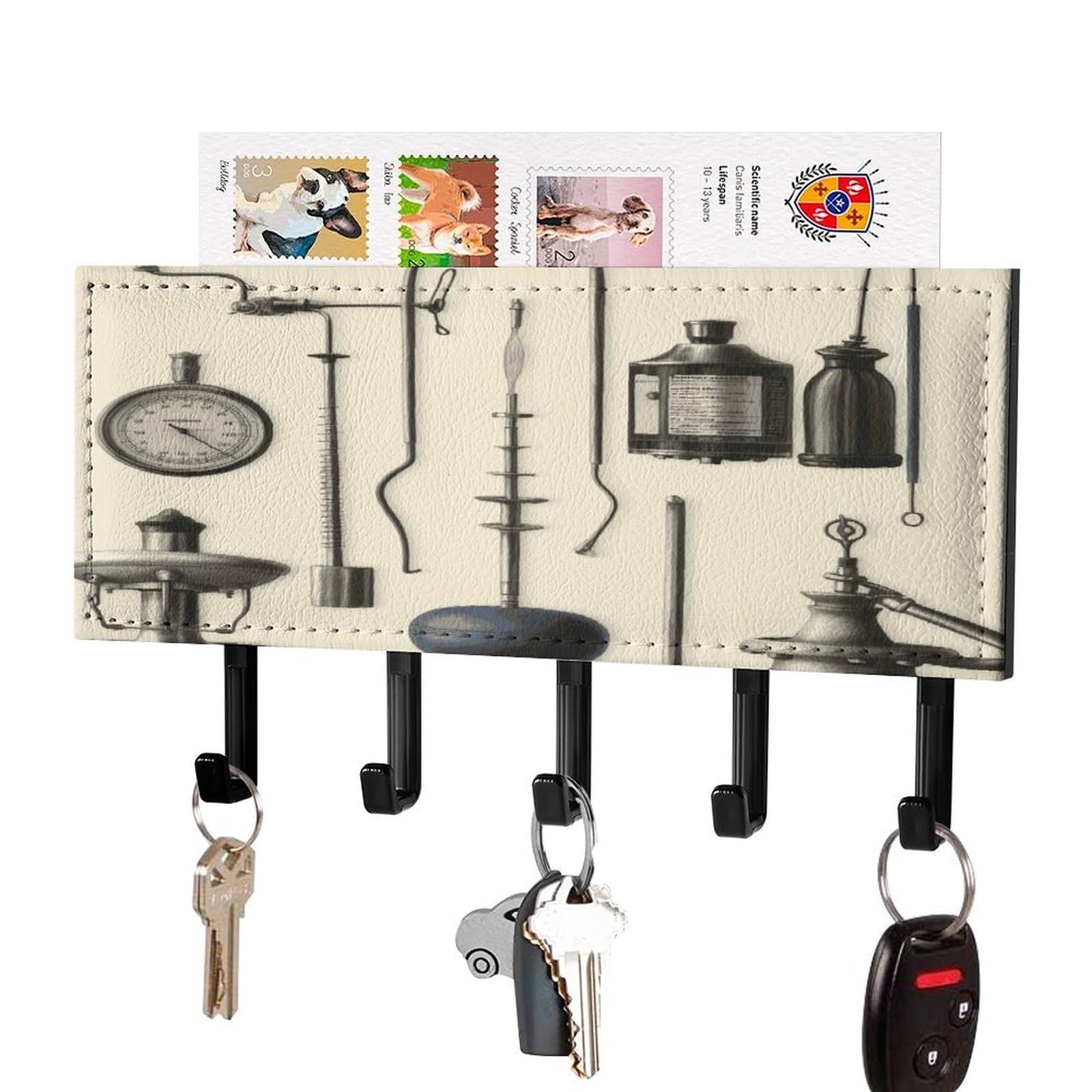 FekiLoot Medical Apparatus and Instruments Key Holder for Wall Decorative Mail Organizer with 5 Key Hook Self Adhesive Key Rack with Tray Coat Rack Wall Mount Key Hanger Decor for Entryway Door
