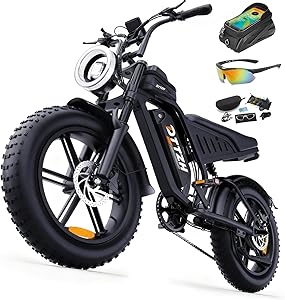 DTTZH Fat Tire E-Bike