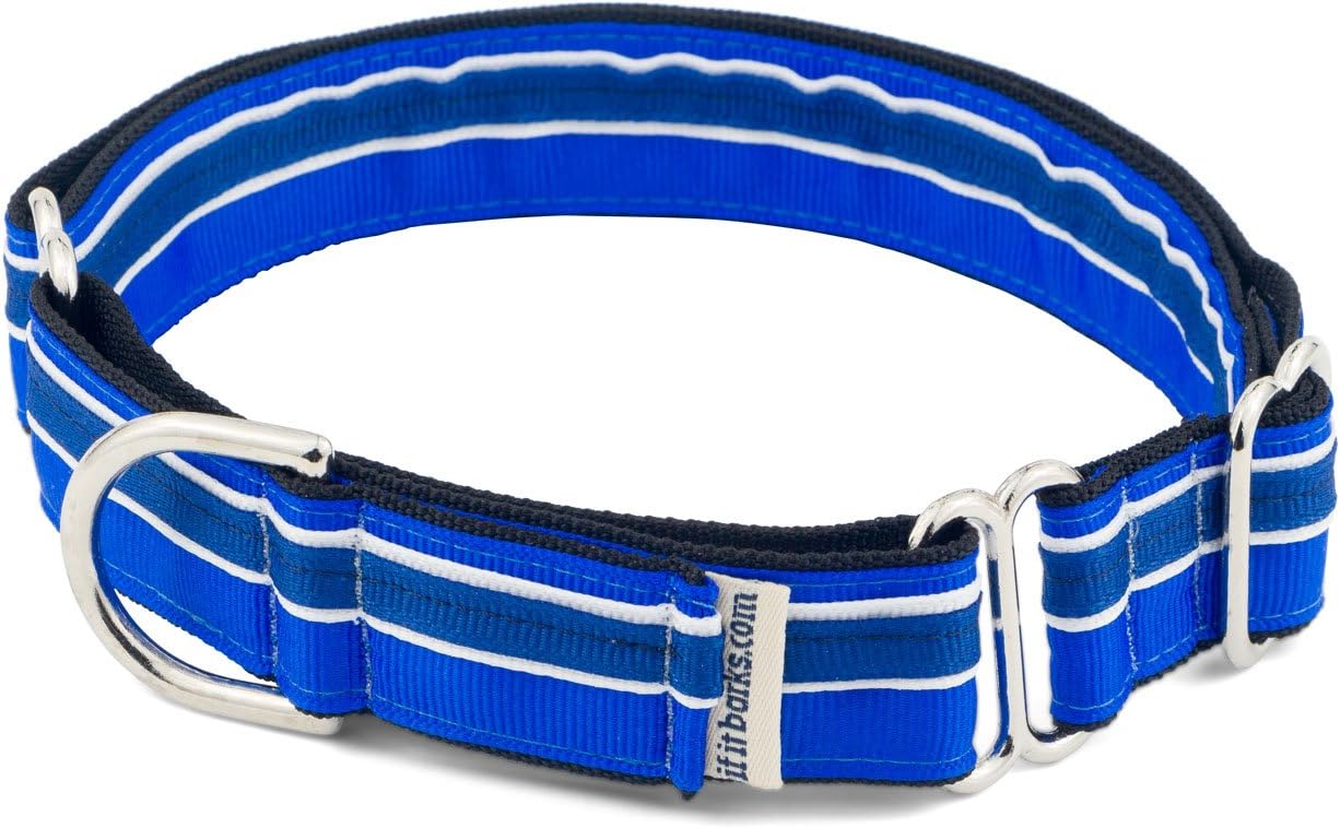 If It Barks 1" Martingale Collar for Dogs, Adjustable Nylon, USA Made, Large, Blueberry