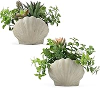 Lewondr Fake Succulents Set of 2 with Seashell Pots - Realistic Artificial Plants for Beach Coastal Home Decor, Bedroom, Party