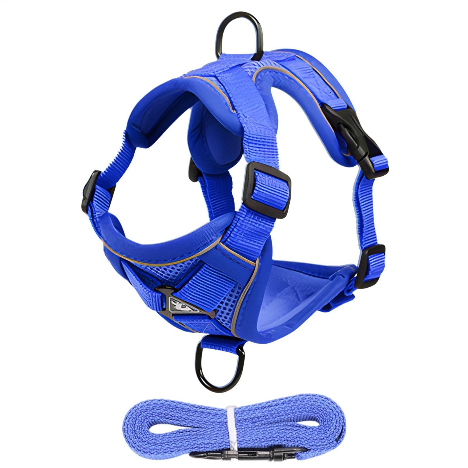 Pettorina Per Gatto Gilet In Mesh Traspirante Antifuga Regolabile Con | Guinzaglio Robusto Per Outdoor Passeggiate Avventura Quotidiana