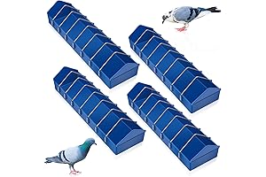 Tioncy J Feeders for Quail