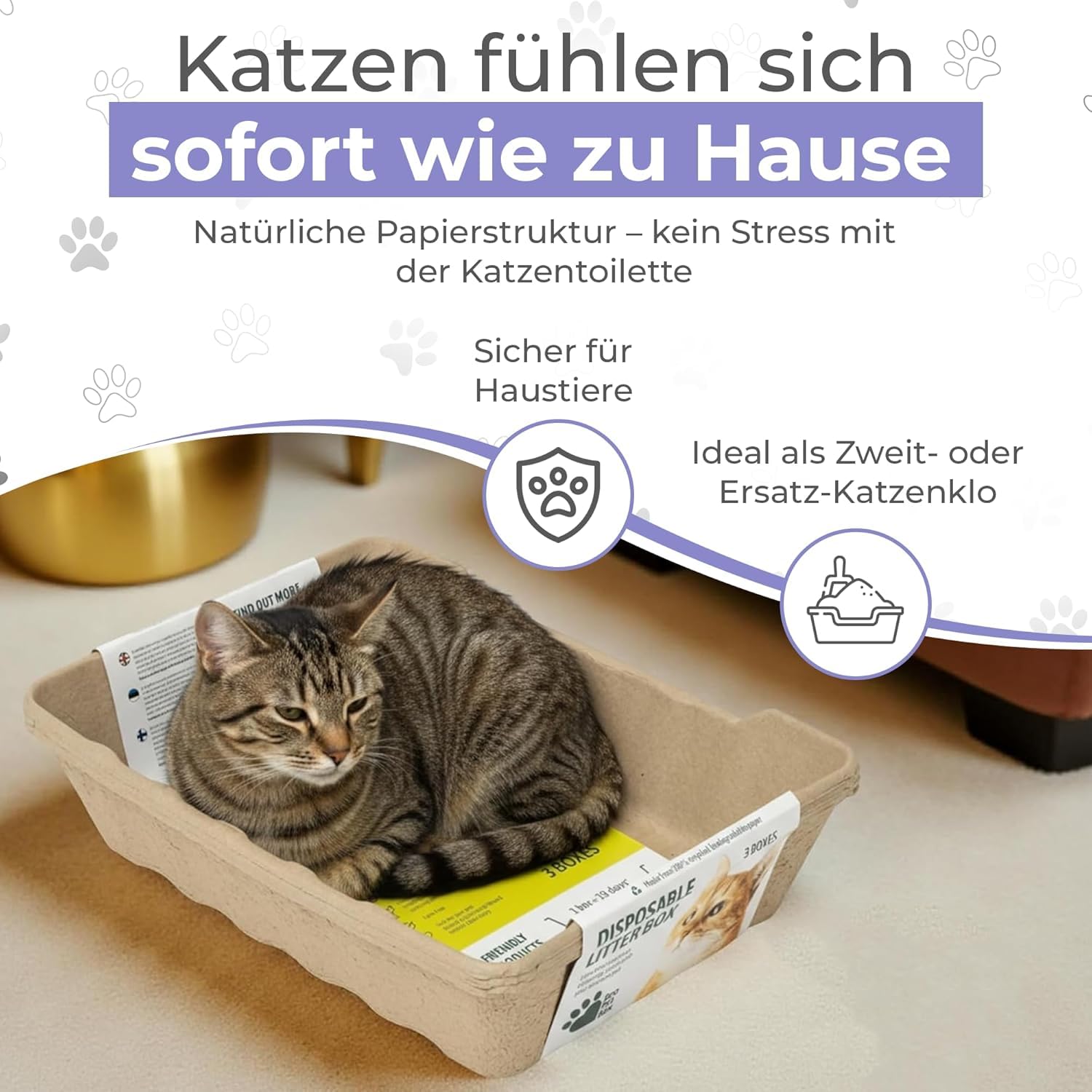 EcoPetBox – Recyclebare Katzentoilette Set – 6 große Einweg Bio-Katzenklos, 5 kg Natur-Katzenstreu, 3 Schaufeln, biologisch abbaubar & plastikfrei – Hygienisch, geruchshemmend & sofort einsatzbereit