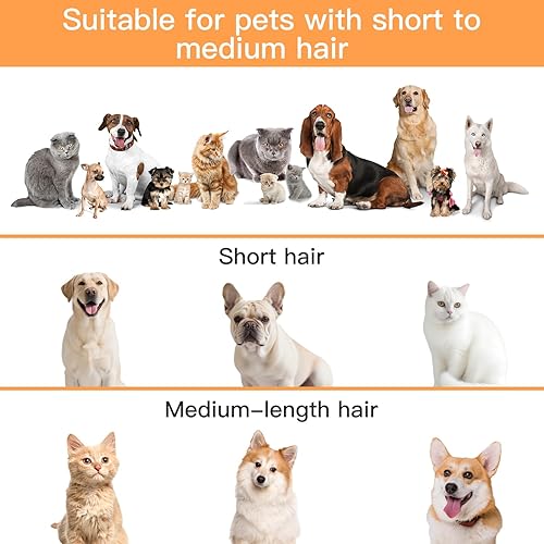 Miniatura 9 de AIRROBO Kit de Aspiradora para Aseo de Perros, Aspiradora de Mascotas Fuerte de 12000Pa para Desempelo, Aseo de Pelo, Silenciosa, PG100, Capacidad