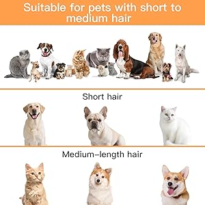 AIRROBO Dog Grooming Vacuum Kit,12000Pa Strong Pet Vacuum for Shedding,Grooming Hai,Quiet,PG100,2L Large Capacity