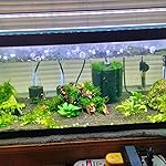 Review Image by William can milke William can milke