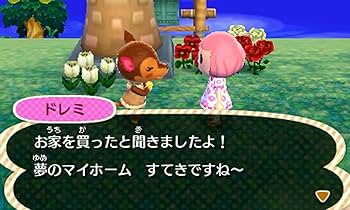 ハッピープライスセレクション とびだせ どうぶつの森 - 3DS ggw725x Amazon | ハッピープライスセレクション とびだせ どうぶつの森