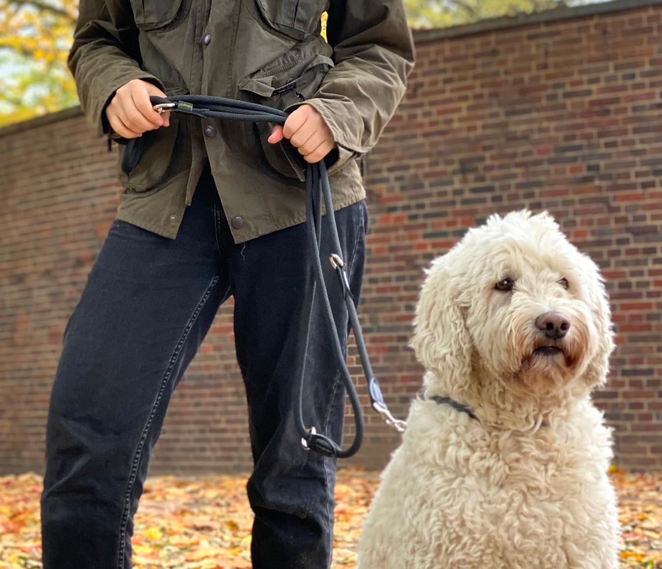 Leisegrün Verstellbare Hundeleine 3m - Robuste Nylon Doppelleine für mittelgroße bis große Hunde, 200kg Zugkraft, 2 Karabiner - Schwarz