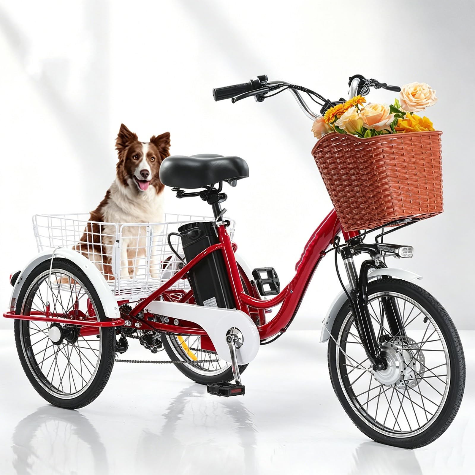 Triciclo elettrico for adulti in acciaio ad alto tenore di carbonio