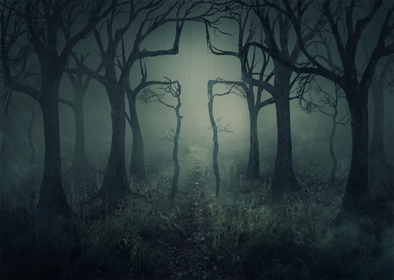 12x8FT (3.6x2.5m) Foresta Nebbiosa Con Alberi Spogli Sfondo Fotografico | Sentiero Nel Bosco Oscuro Fondale In Tessuto,Rami Contorti Nebbia Fitta,Per Feste Halloween E Ritratti Spaventosi,Photo Booth