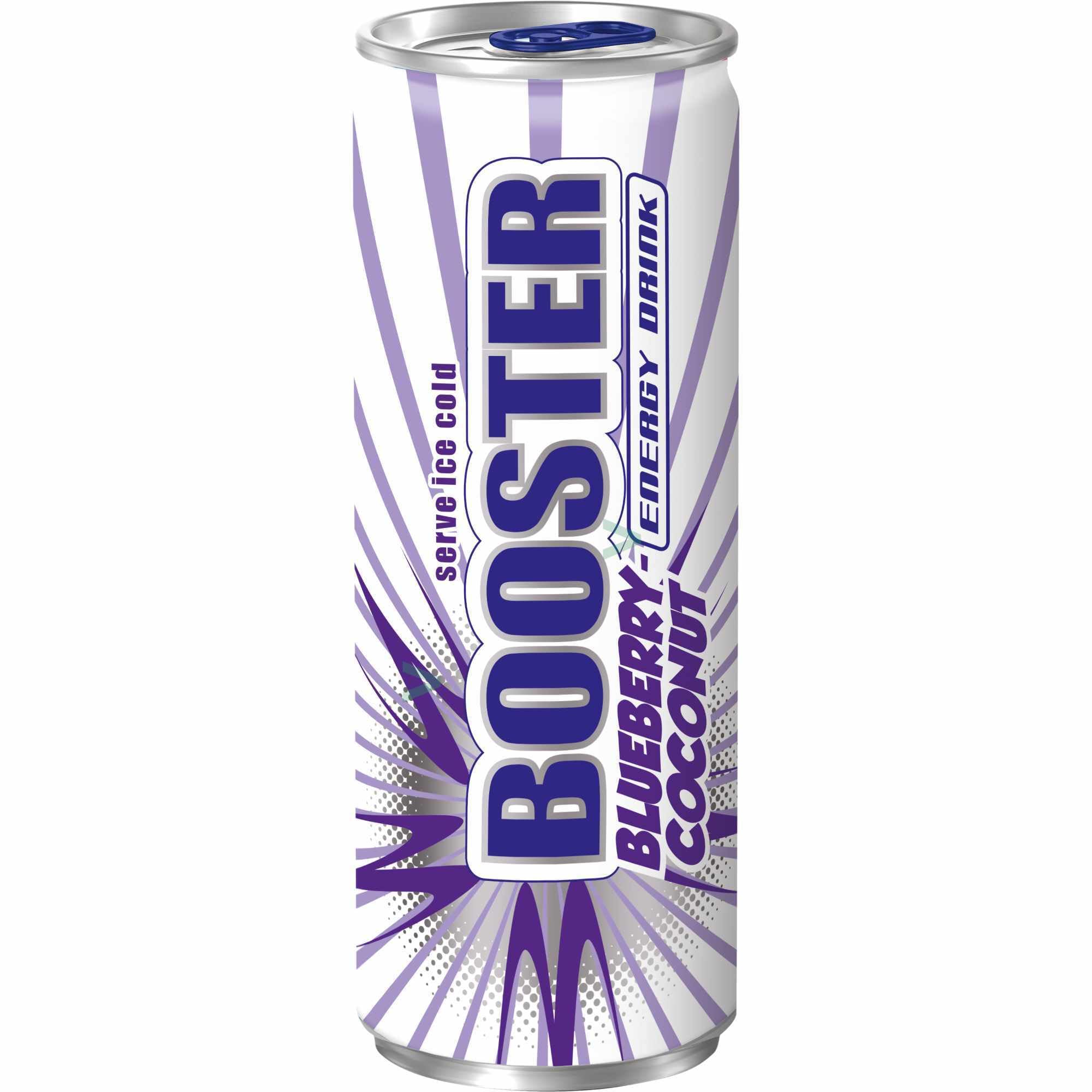 Booster Energy Drink Blueberry-Coconut DPG 2er Pack (48x330ml Dose) + usy Block