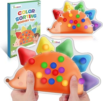 ZaxiDeel Color Sorting Sensory Toys for Kids Roadtrip Travel Essenstial for Toddler, Color Matching Preschool Activities Educational Calm Down Montessori Toys for Boy Girl Gifts Ages 3+