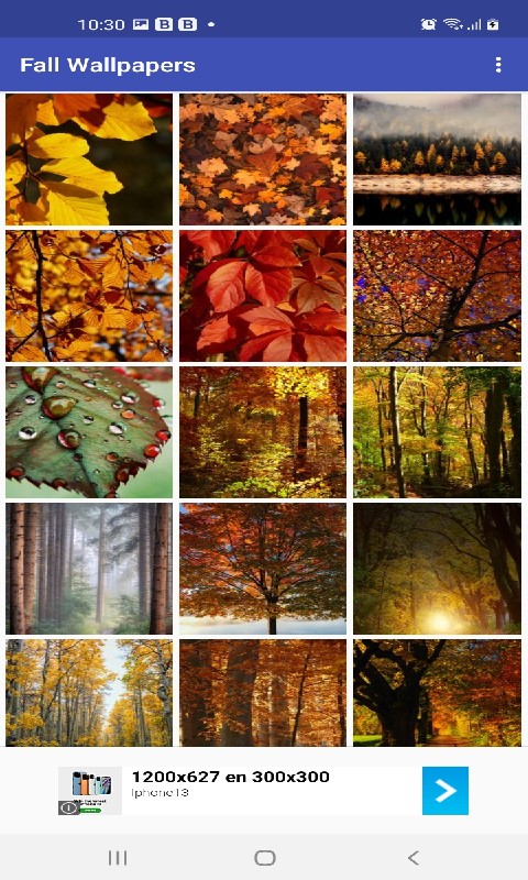 Fall Amazon. Box Background Fall Wallpapers and Backgrounds:Amazon.in:Appstore for Android